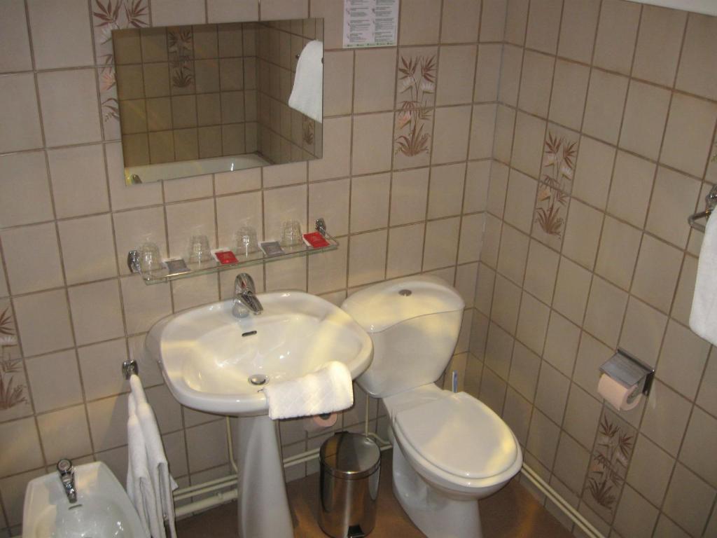 铜马酒店 勒米尔蒙 客房 照片